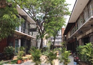 What’s up Chiang Mai