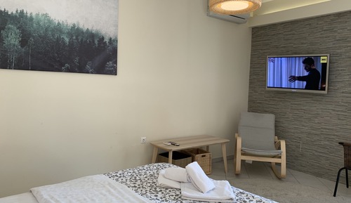 Deluxe Double or Twin Room