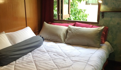Cozy Double Room