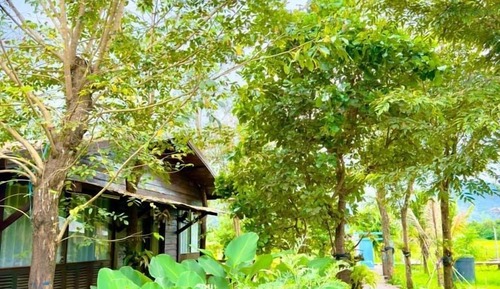 Double Room, 1 King Bed, Mountain View