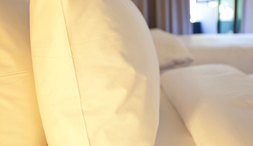 Standard Twin Room (Adult Only)