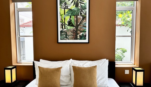 Deluxe Double or Twin Room