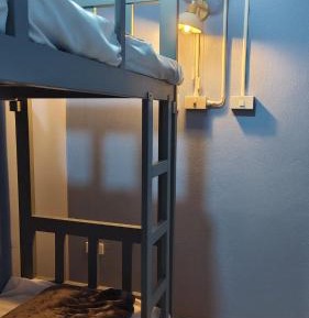 Bunk Bed in Mixed Dormitory Room