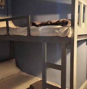 Bunk Bed in Mixed Dormitory Room