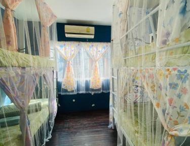 Bed in 4-Bed Mixed Dormitory Room