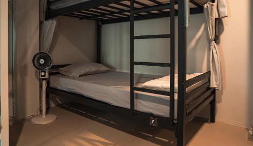 Bunk Bed in Mixed Dormitory Room