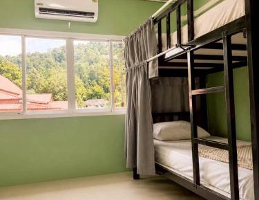 Bunk Bed in Mixed Dormitory Room