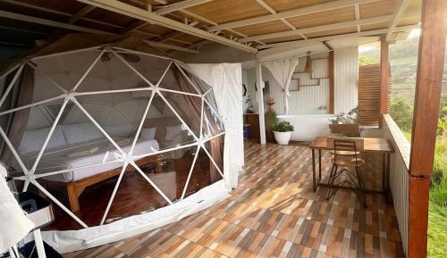 Suite with Terrace