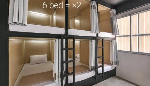Bunk Bed in Mixed Dormitory Room