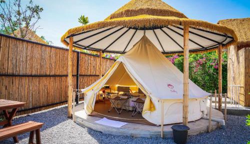 Tent