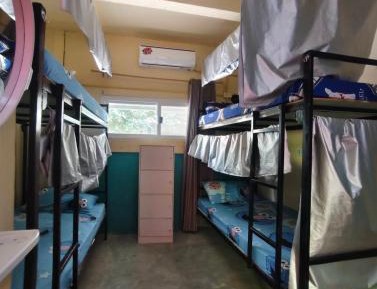 Bed in 4-Bed Dormitory Room