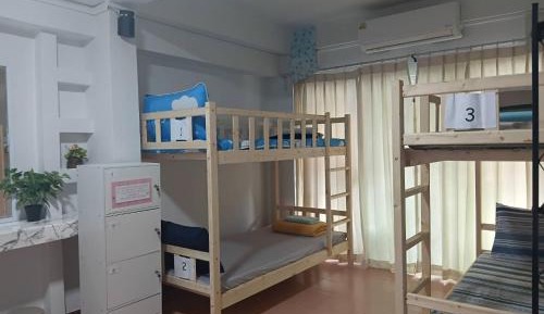 Bed in 6-Bed Dormitory Room