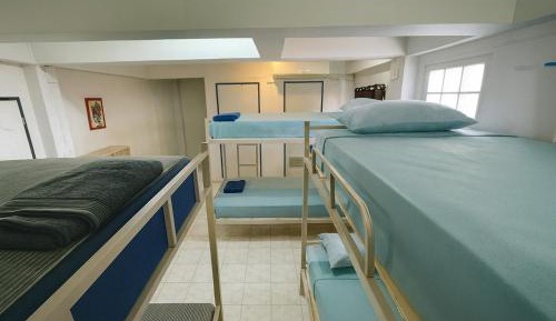 Bed in 6-Bed Mixed Dormitory Room