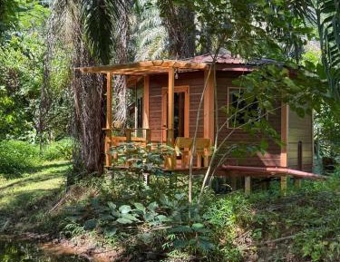 Deluxe Bungalow