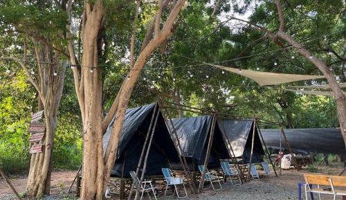 Tent