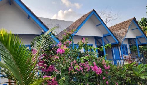 Double Room with Terrace