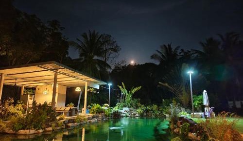 King Room with Pool View