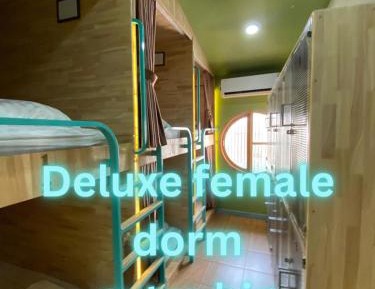 Bed in 6-Bed Female Dormitory Room