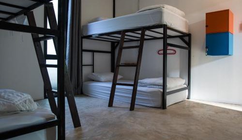 Bunk Bed in Mixed Dormitory Room