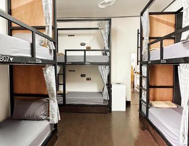 Single Bed in 10-Bed Dormitory Room