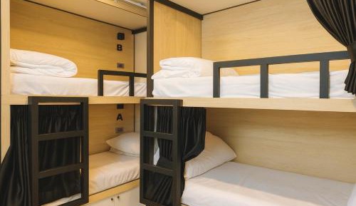 Bunk Bed in Male Dormitory Room 