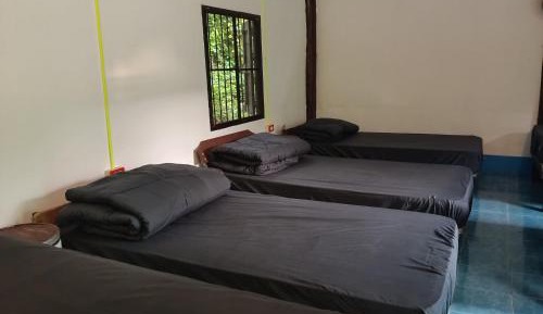 Single Bed in Dormitory Room