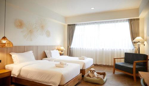 Pet-Friendly Signature Grand Room