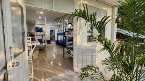 Bed in 6-Bed Mixed Dormitory Room