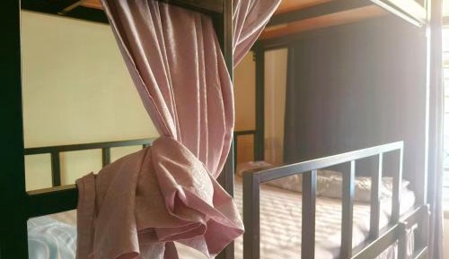 Bunk Bed in Mixed Dormitory Room