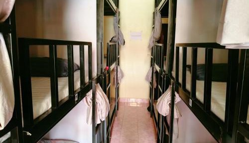 Bunk Bed in Mixed Dormitory Room