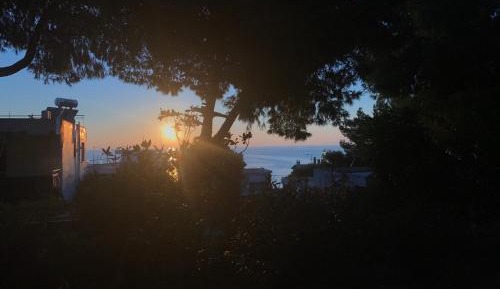 Studio with Ocean View