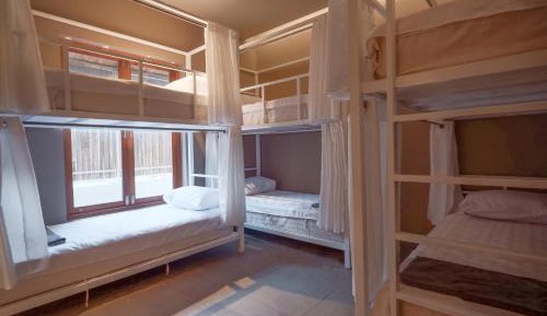 Bunk Bed in Female Dormitory Room  