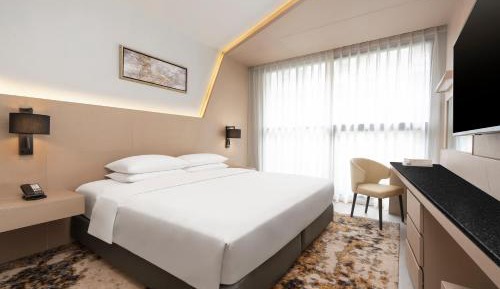 King Studio Room with One King Bed and Sofa Bed