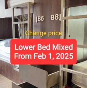 Bunk Bed in Mixed Dormitory Room