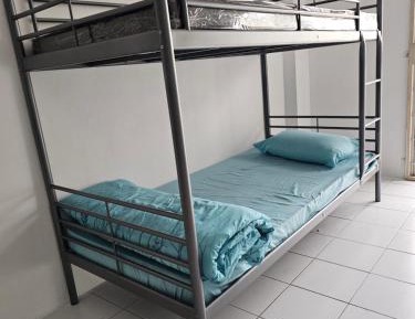 Bunk Bed in Mixed Dormitory Room