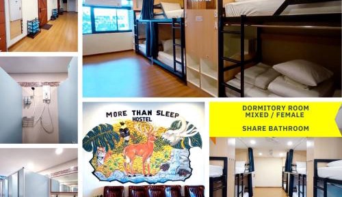 Bunk Bed in Mixed Dormitory Room