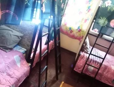 Bunk Bed in Mixed Dormitory Room