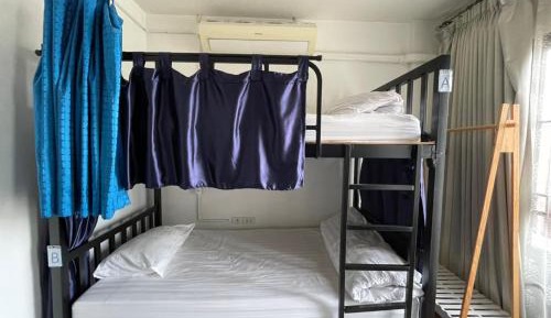 Bunk Bed in Mixed Dormitory Room