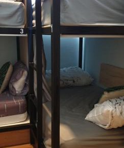 Bed in 4-Bed Dormitory Room (Male Only)