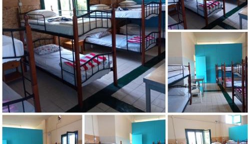 Bed in 8-Bed Mixed Dormitory Room