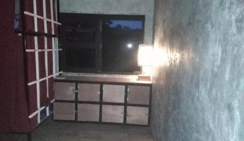 Bunk Bed in Mixed Dormitory Room