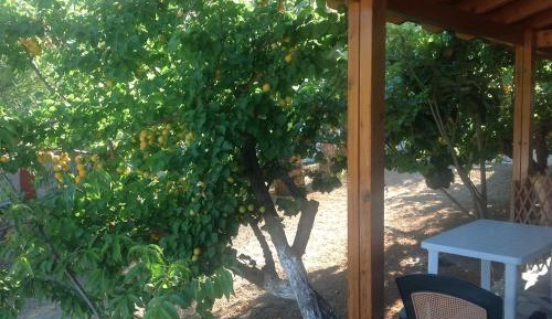 Triple Room with Garden View
