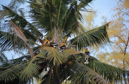 Ko Chang Resort | Blue Lagoon Resort Koh Chang