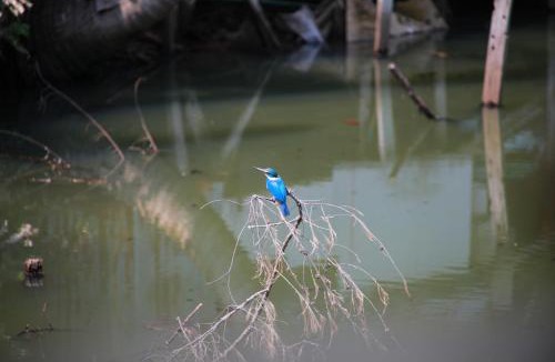 Ko Chang Resort | Blue Lagoon Resort Koh Chang