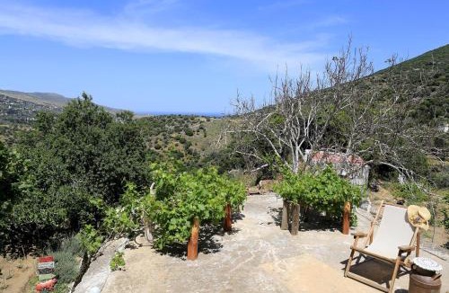Andros Town Apartment | Oak Farm Guest House Junior