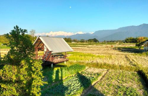 Tha Wang Pha House | Ricefield Homestay มองนาภูคาน่านโฮมสเตย์