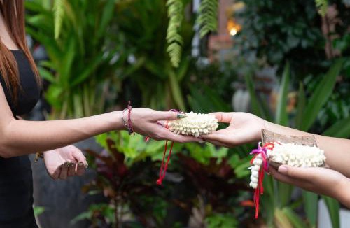 Taphul Village Area Hotel | Okay Boutique Siem Reap