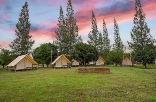 Traeng Trayueng Resort | Phum Domnak Domrey Resort