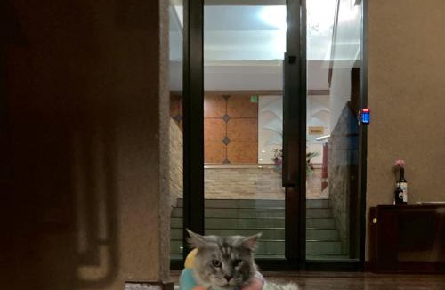Phitsanulok Hotel | Polkadot Hostel