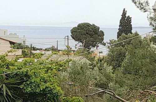Nea Styra Apartment | Asteria Apartments